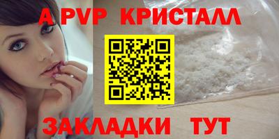 spice Кунгур