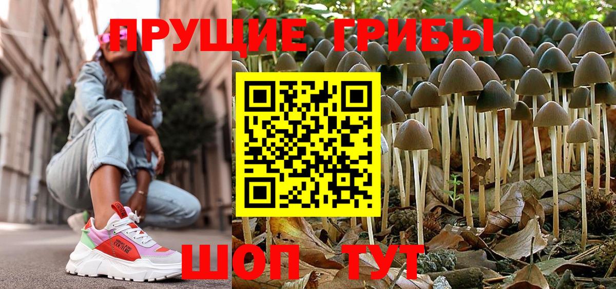 Галлюциногенные грибы Psilocybe Изобильный